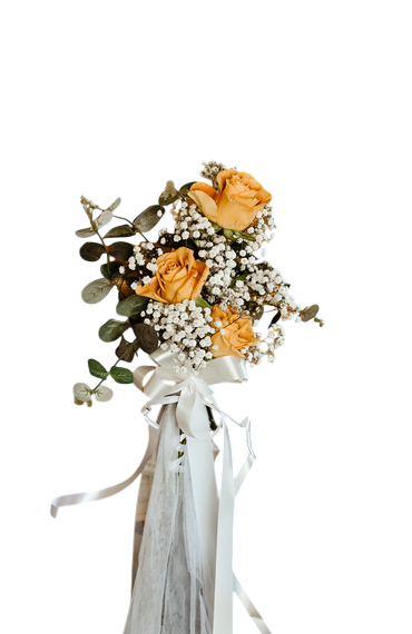 Screenshot 2025-09-08 194423-Photoroom